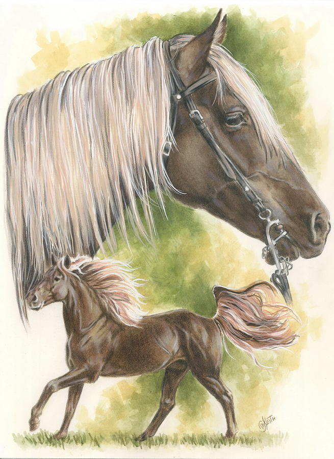 Rocky Mountain Horse - Barbara Keith
